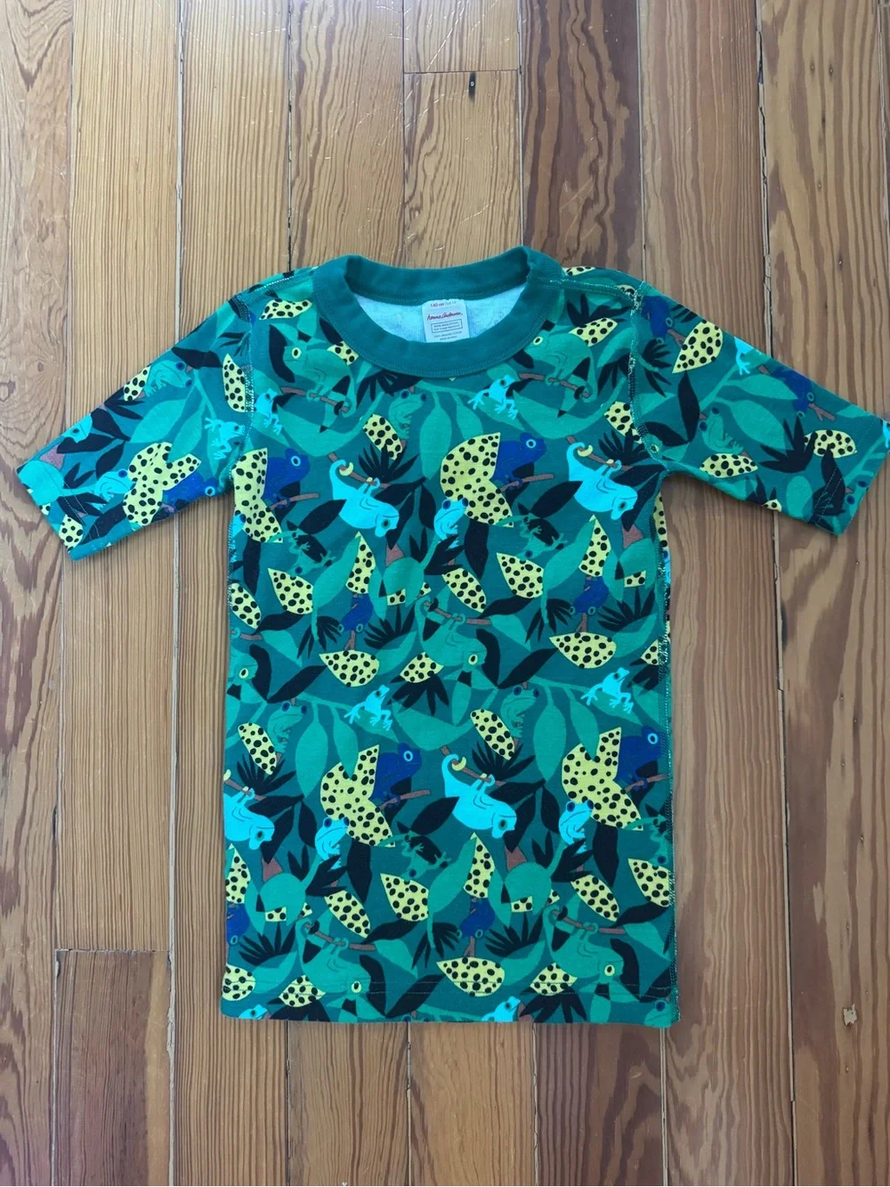 Hanna Andersson Chameleon PJ Top